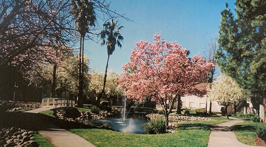 The Lakes at Fair Oaks, Currently Known as “Park Place Fair Oaks” (Realized)